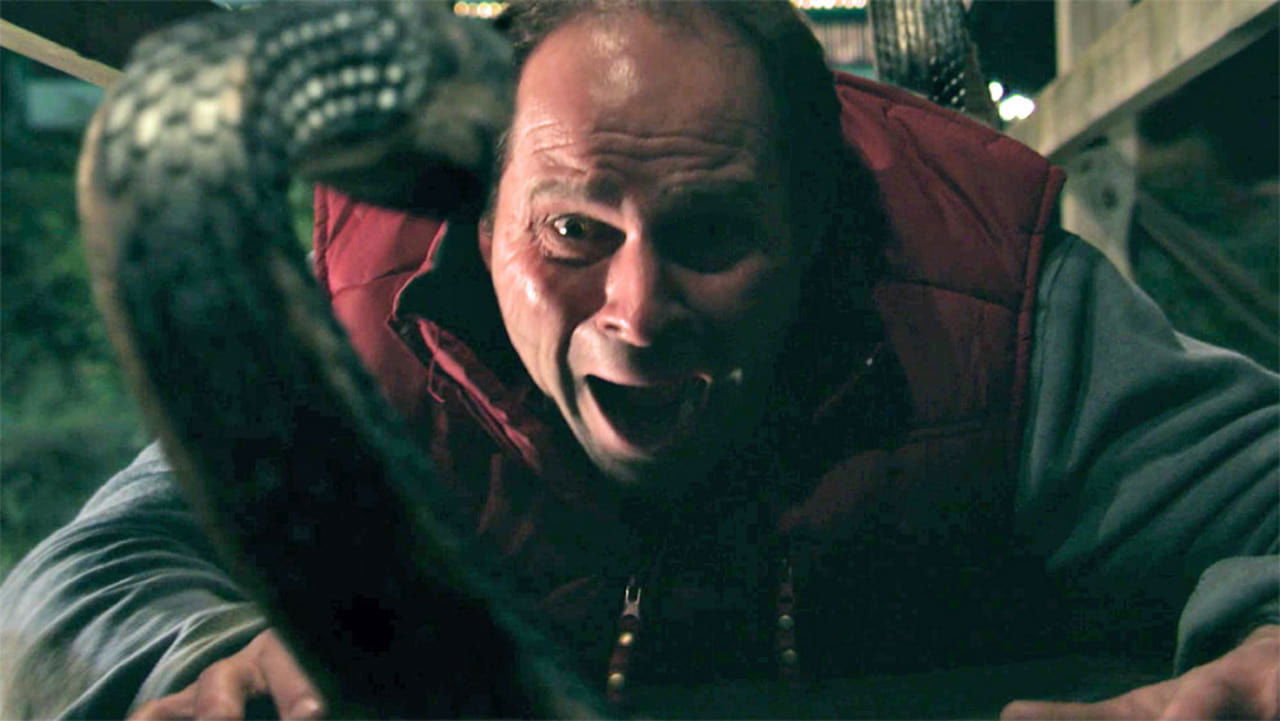 Vipers (2008) abspielen