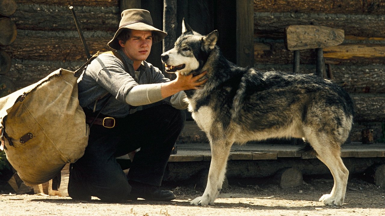 Wolfsblut (1991) abspielen