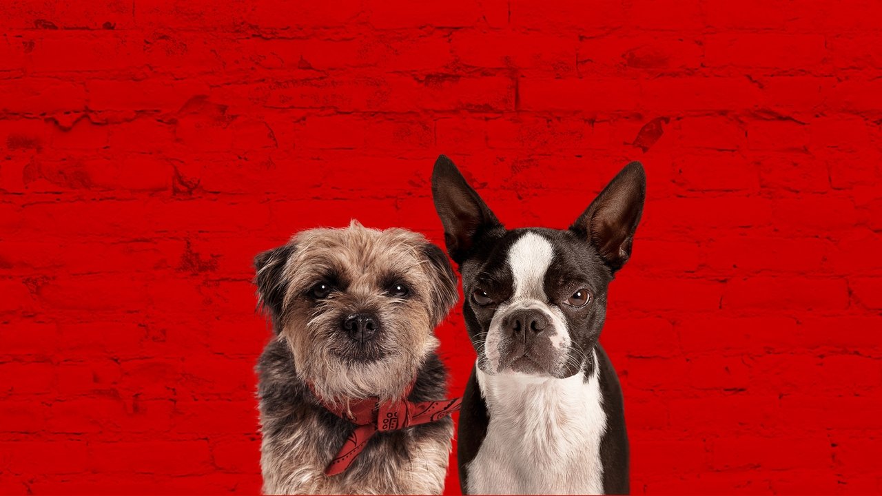 Doggy Style (2023) abspielen