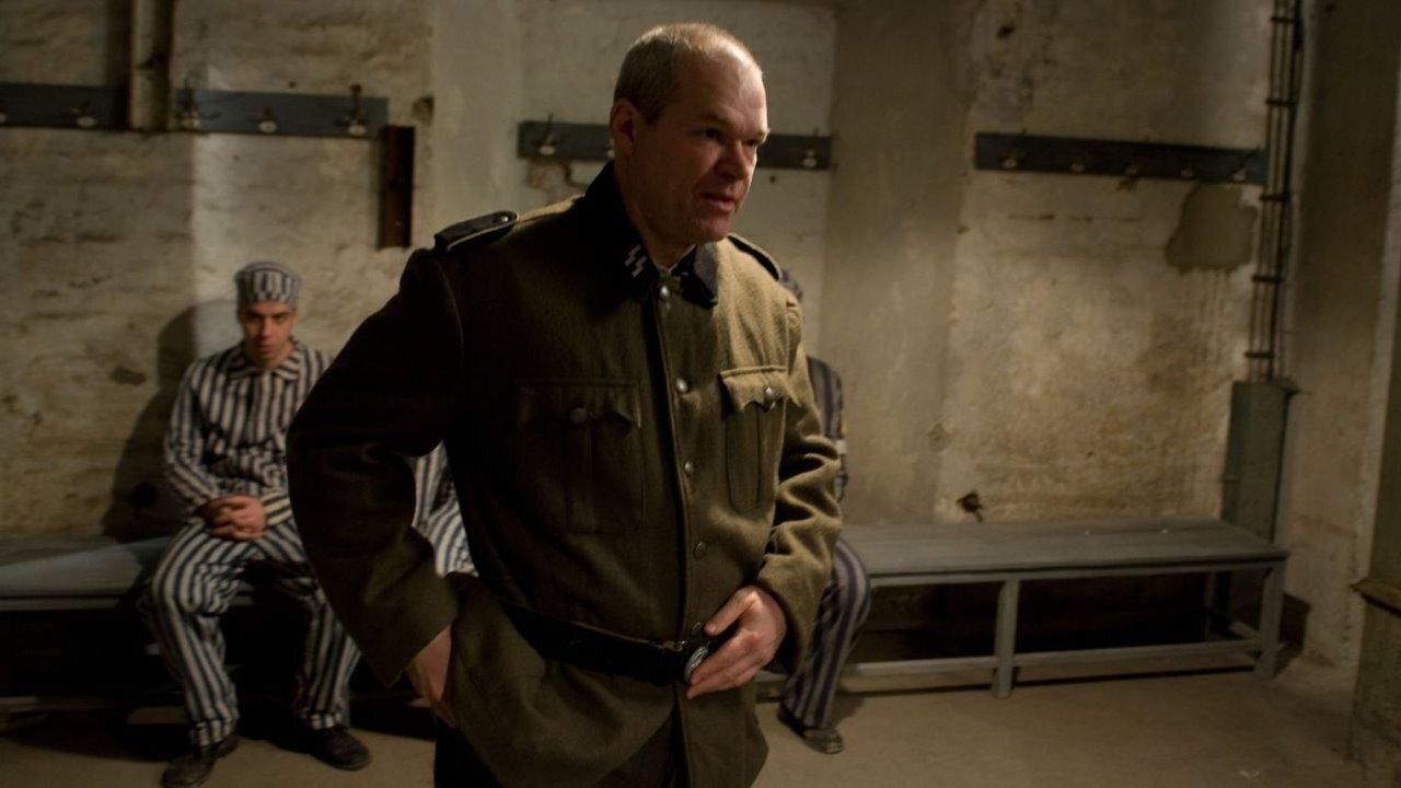 Auschwitz (2011) abspielen