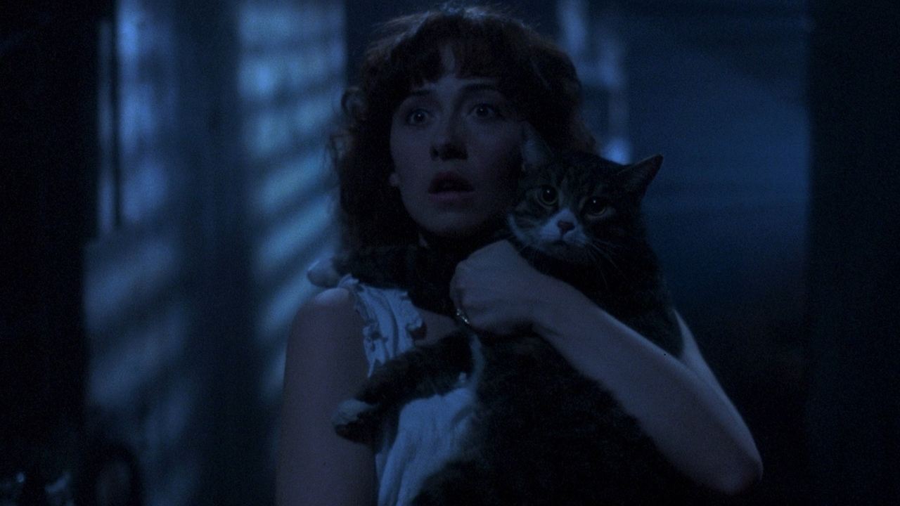 The Amityville Curse - Der Fluch (1990) abspielen