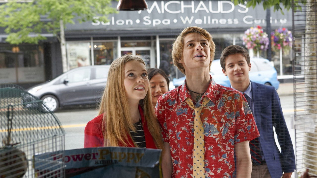 Rufus 2 (2017) abspielen