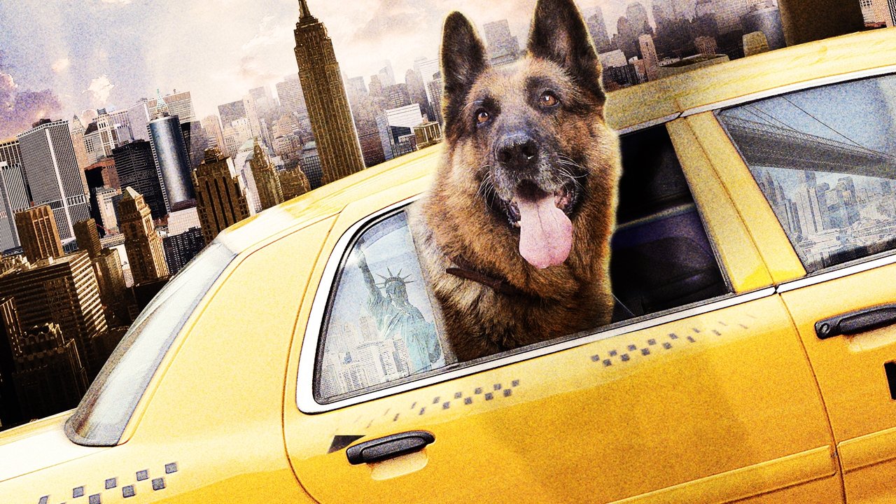 Tierisch Cool - Ein Hund in New York (2010) abspielen