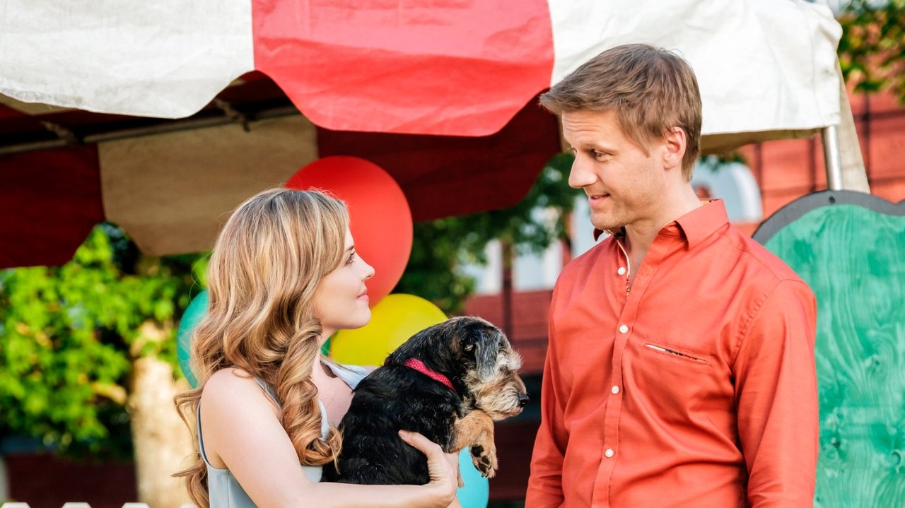 Countdown der Liebe (2017) abspielen