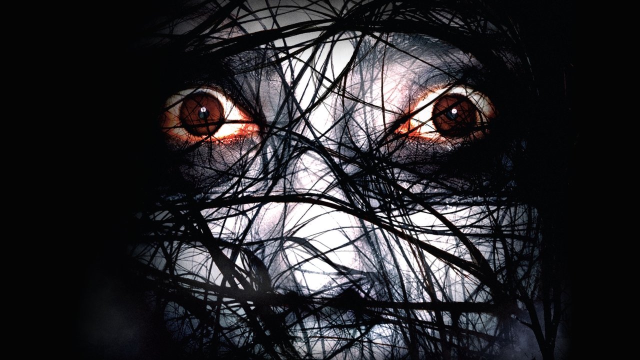 Der Fluch - The Grudge 2 (2006) abspielen