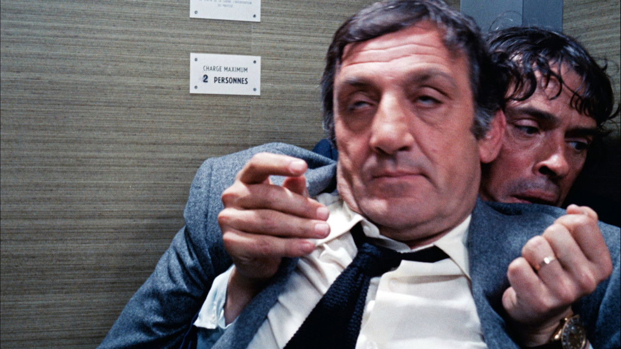 Die Filzlaus (1973) abspielen