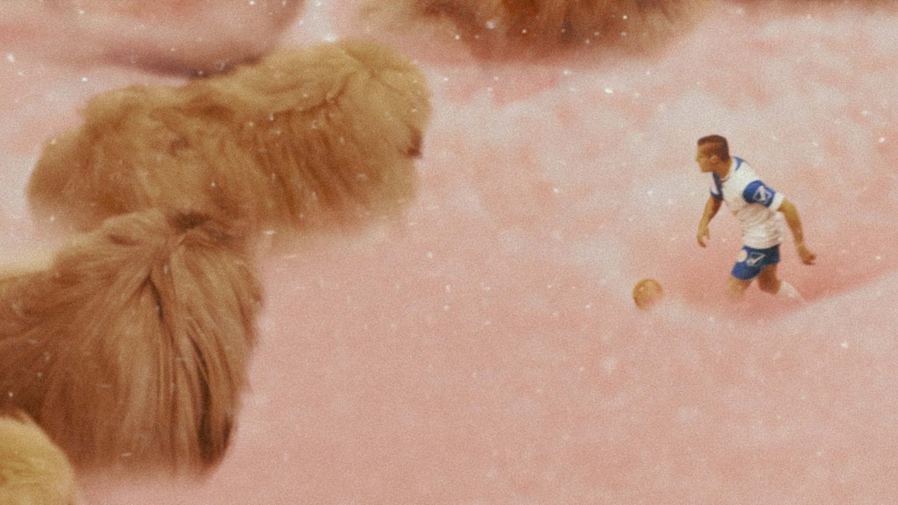 Diamantino (2018) abspielen