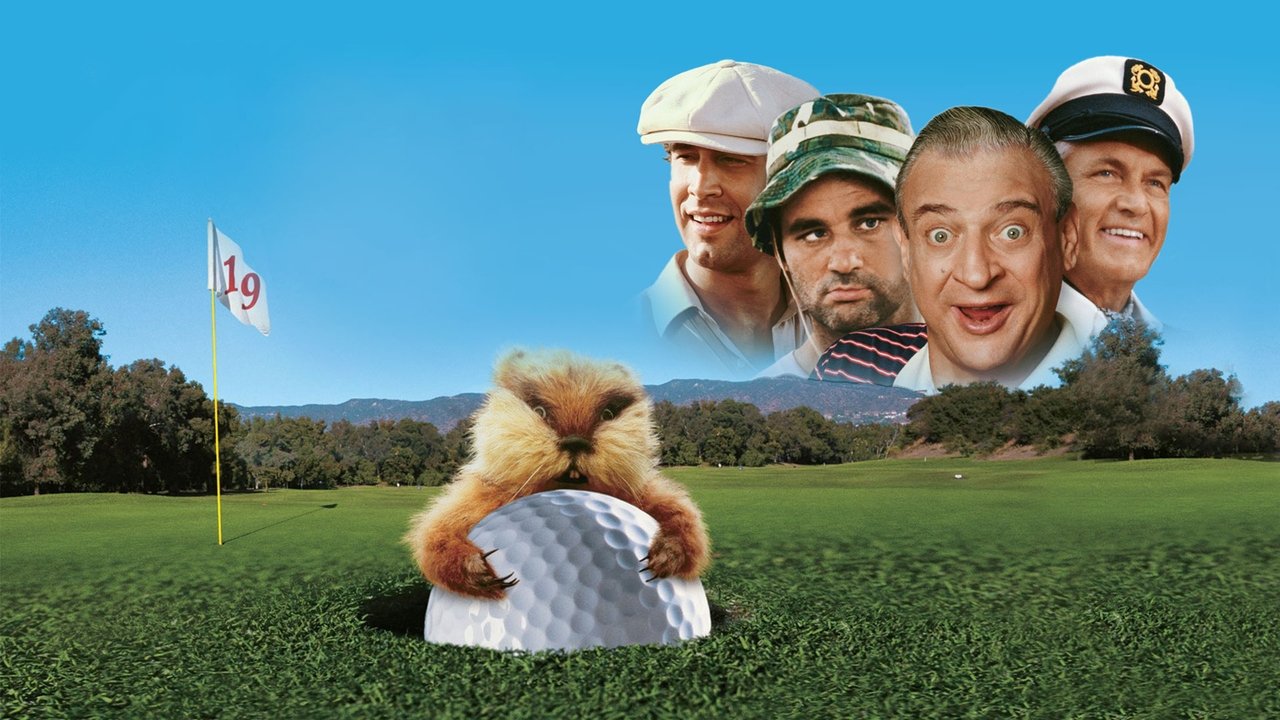 Caddyshack - Terror auf dem Golfplatz (1980) abspielen