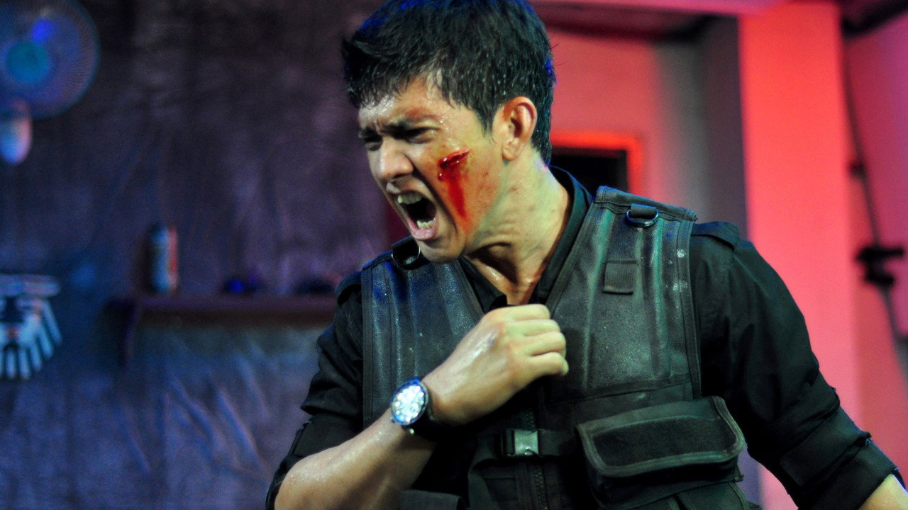 The Raid (2012) abspielen
