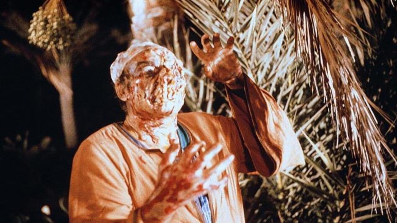 Die Mumie des Pharao (1981) abspielen