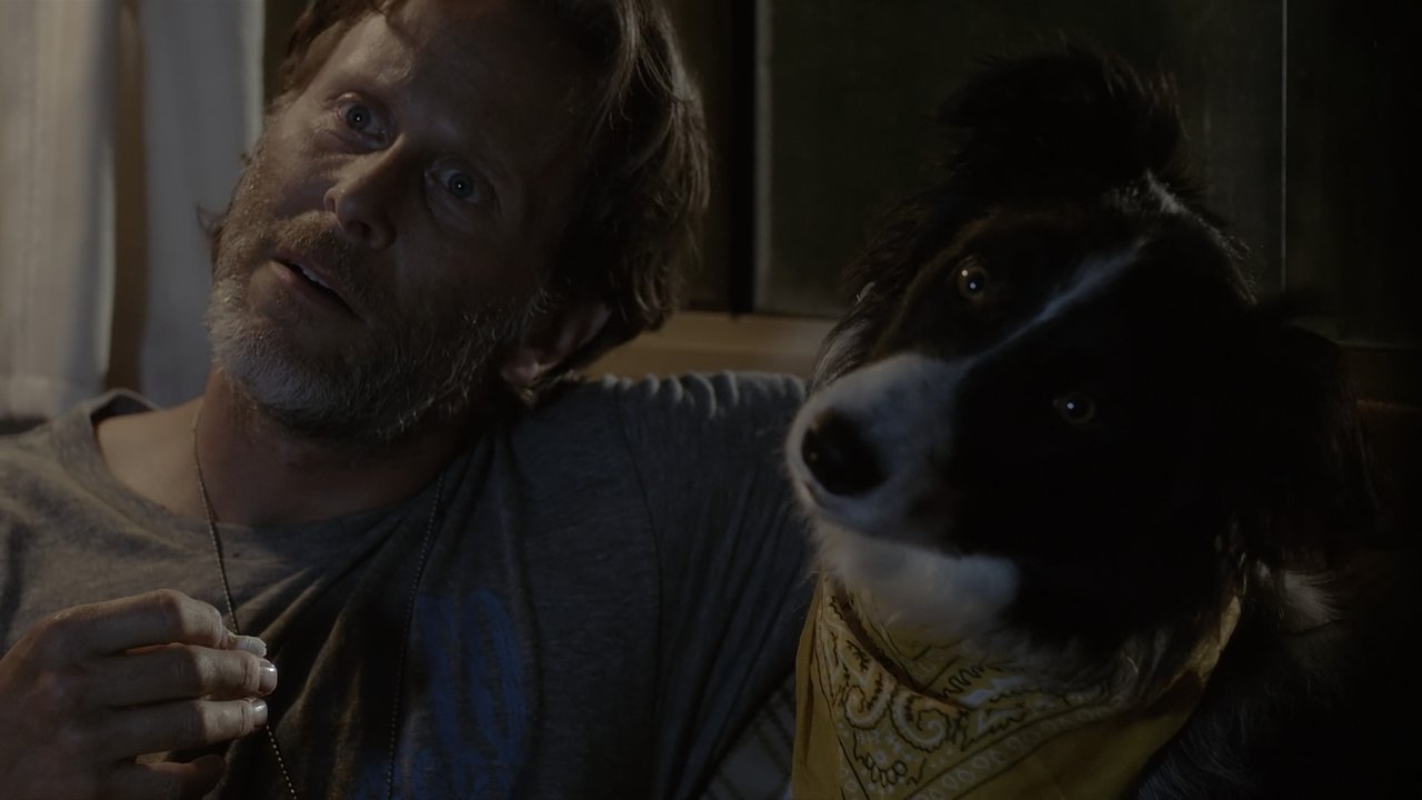 Ein Hund namens Duke (2012) abspielen