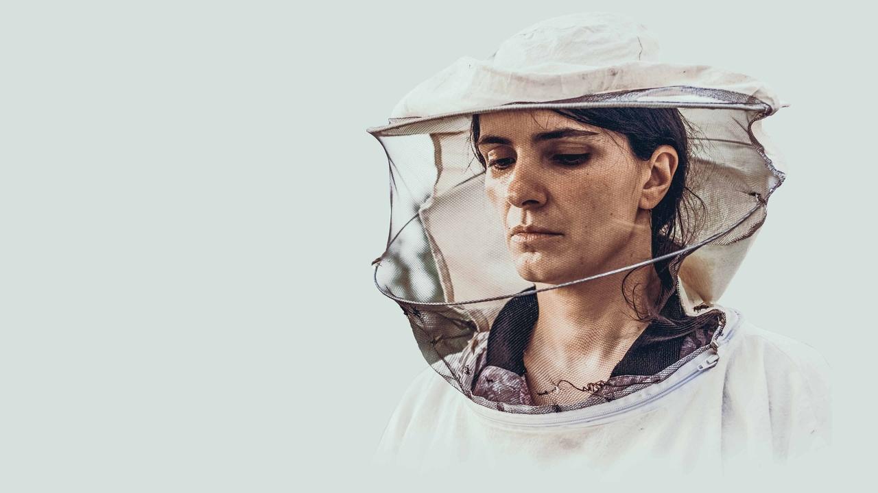 Hive (2021) abspielen