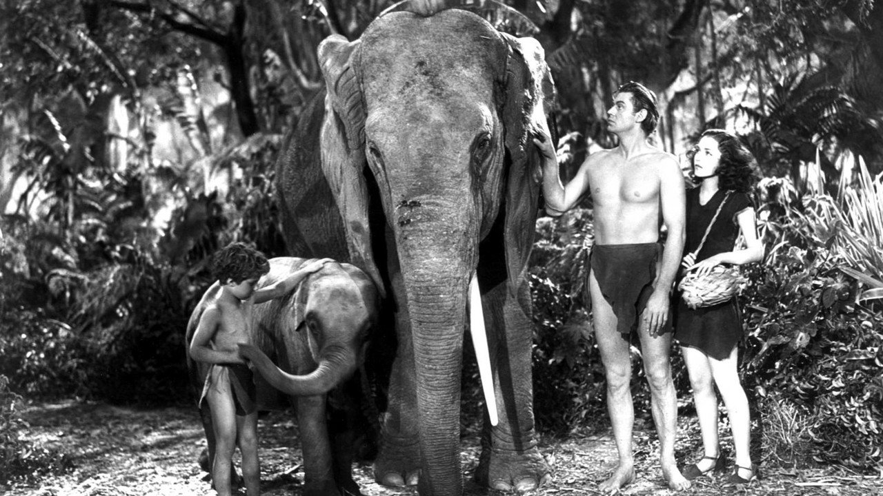 Tarzan und sein Sohn (1939) abspielen