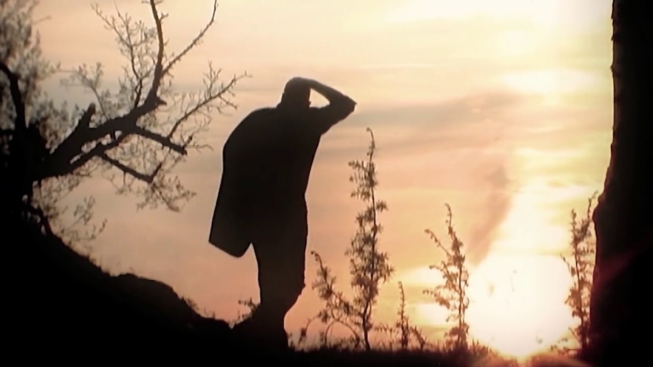 Melancholie der Engel (2009) abspielen