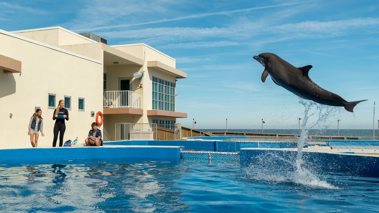 Bernie der Delfin (2018) abspielen