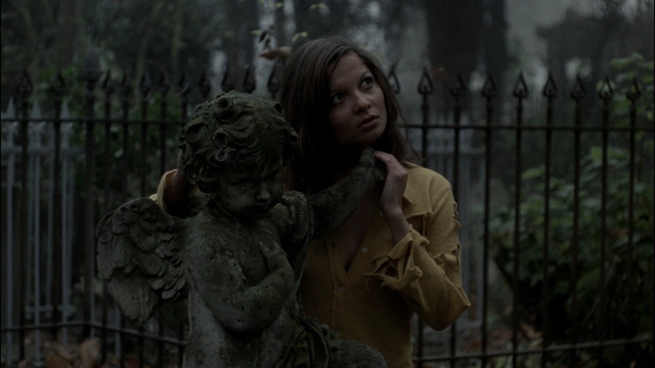 Die eiserne Rose (1973) abspielen