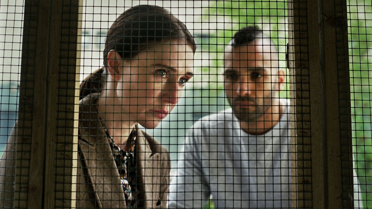 Instinct - Gefährliche Begierde (2019) abspielen