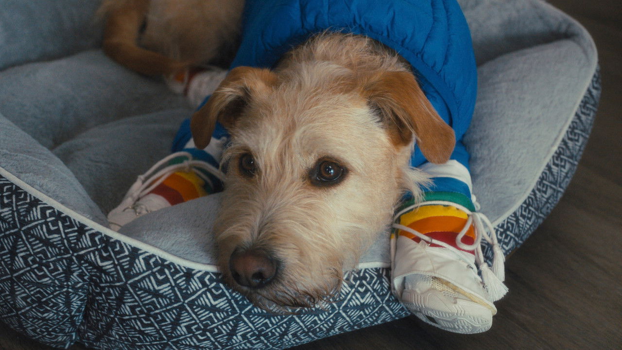 Merv (2025) abspielen