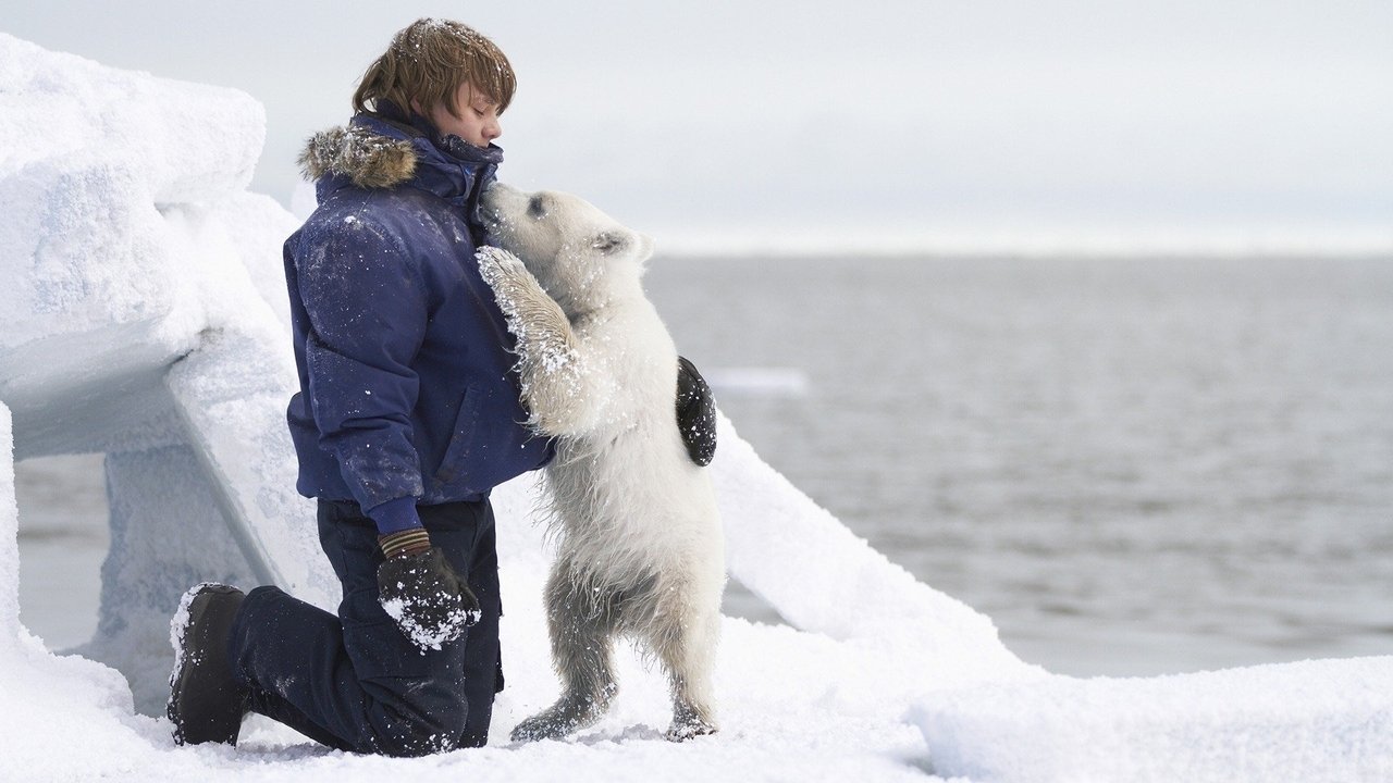 Midnight Sun (2014) abspielen