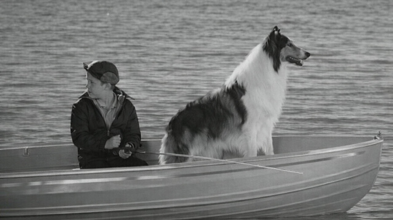 Lassie verschwindet (1964) abspielen