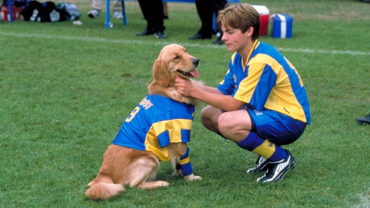 Air Bud 3 - Ein Hund für alle Bälle (2001) abspielen