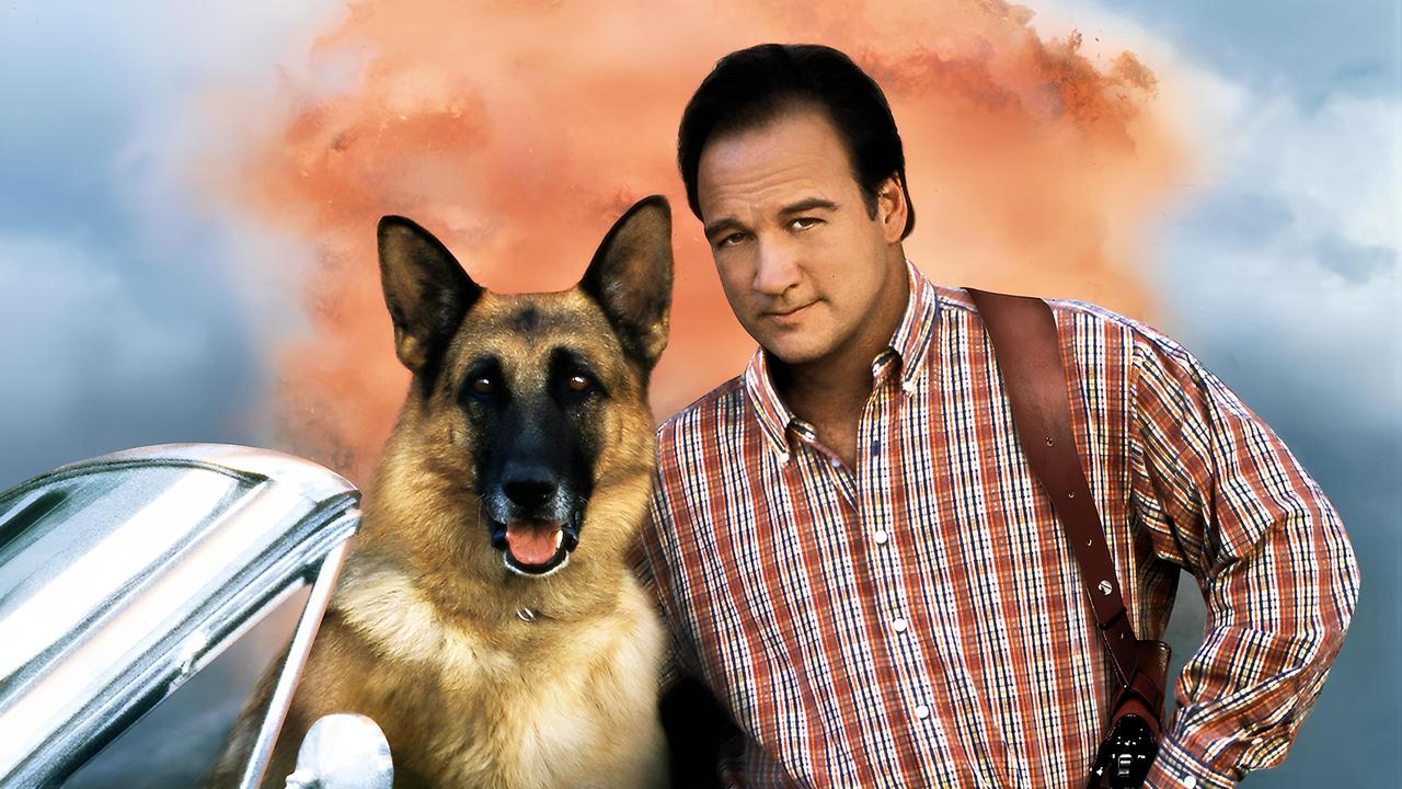 Mein Partner mit der kalten Schnauze 2 (1999) abspielen