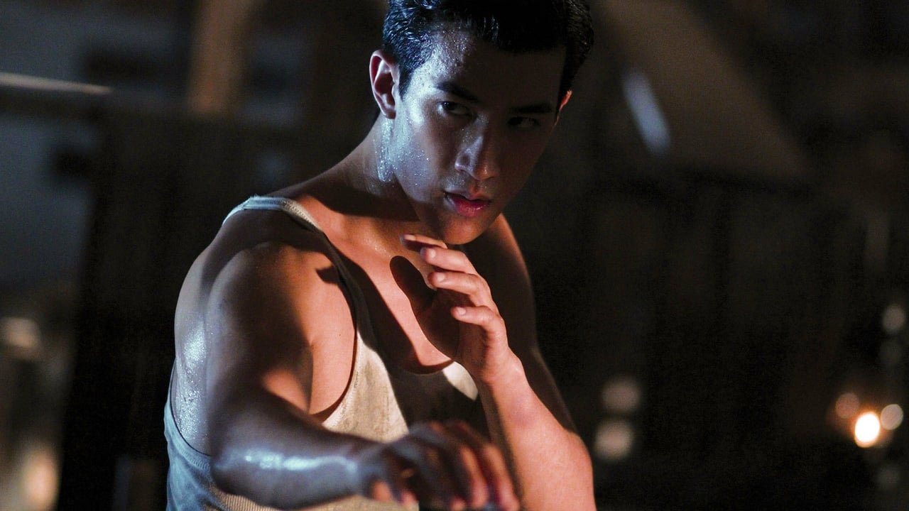 Bruce Lee - Die Legende des Drachen (2010) abspielen