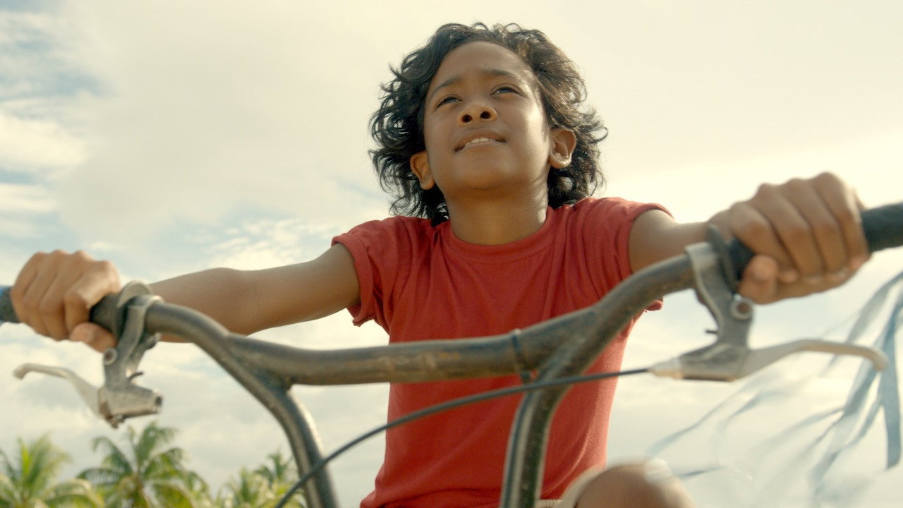 Wiren (2019) abspielen