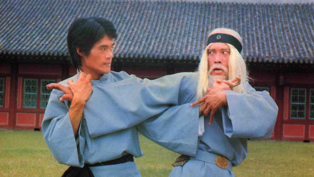 Die Zwillingsbrüder von Bruce Lee (1976) abspielen