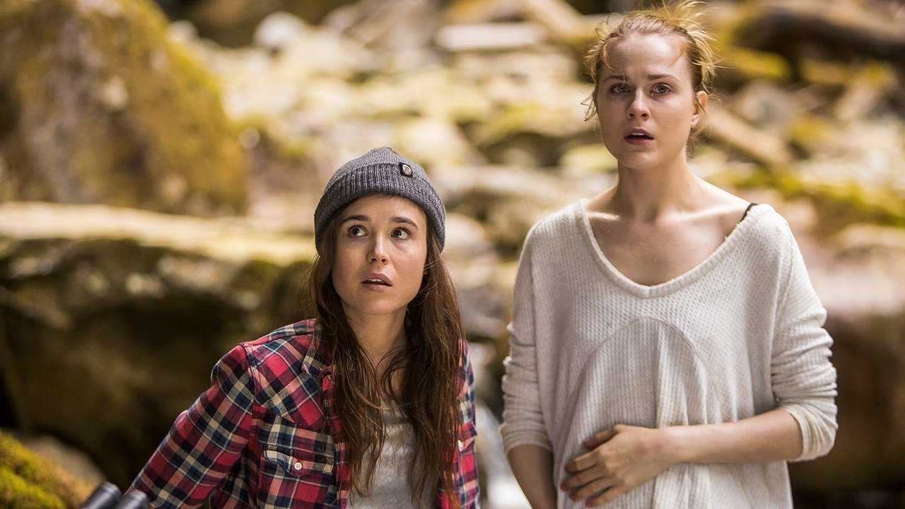 Into the Forest (2016) abspielen