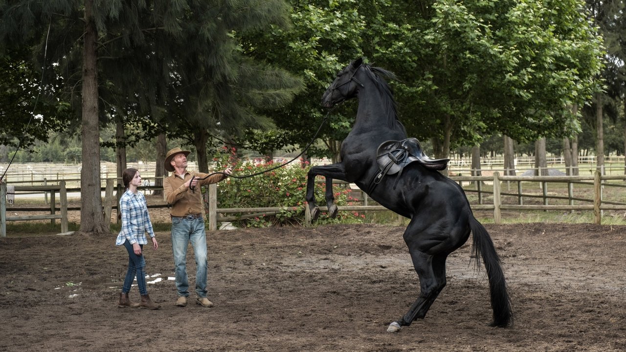 Black Beauty (2020) abspielen