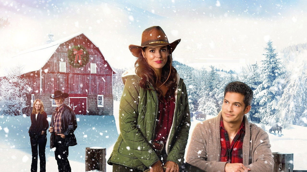 Ein Tierarzt zu Weihnachten (2019) abspielen