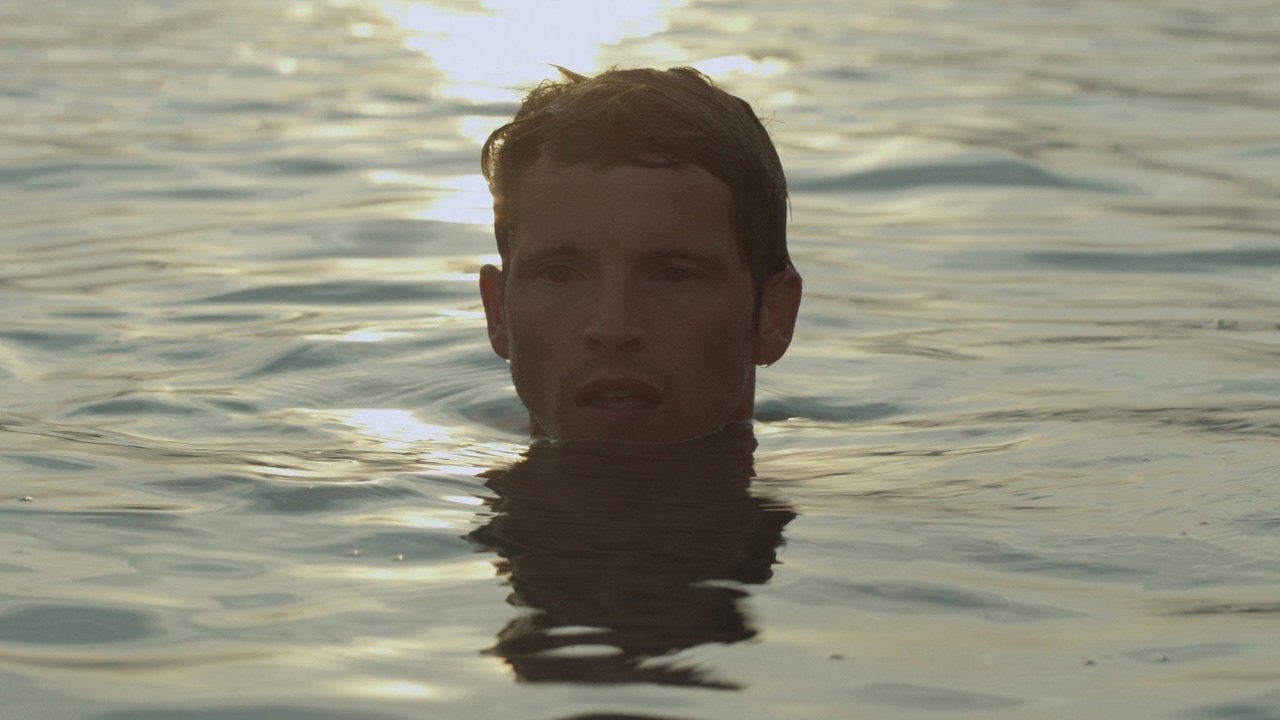 Der Fremde am See (2013) abspielen