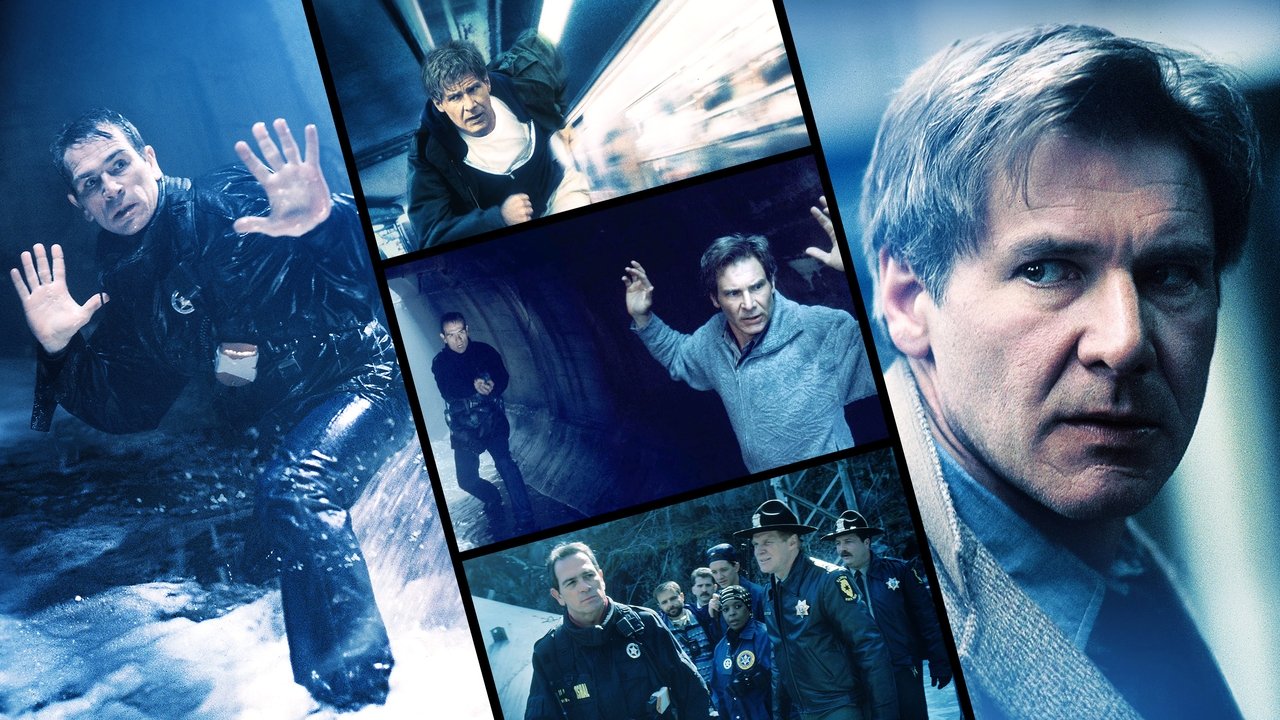 Auf der Flucht (1993) abspielen