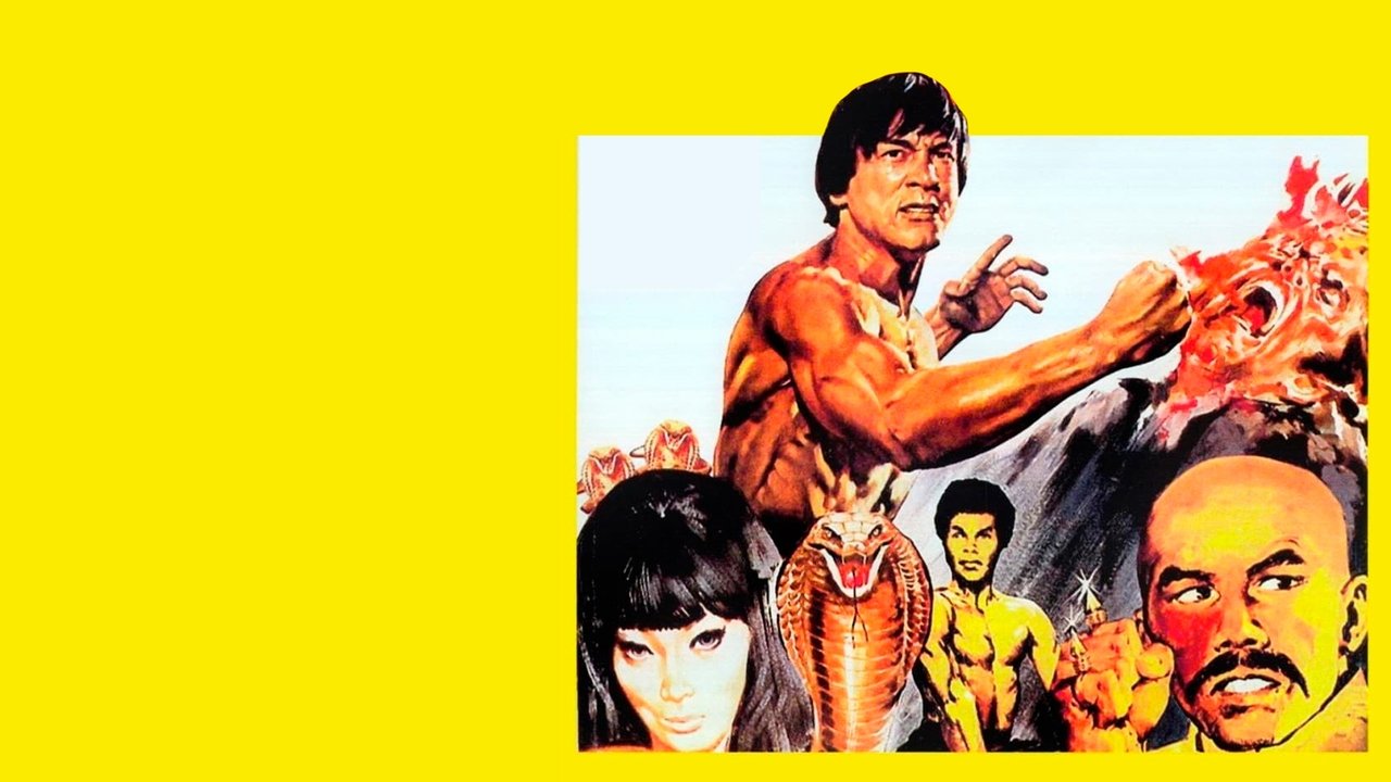 Der Meister mit den gebrochenen Händen (1973) abspielen