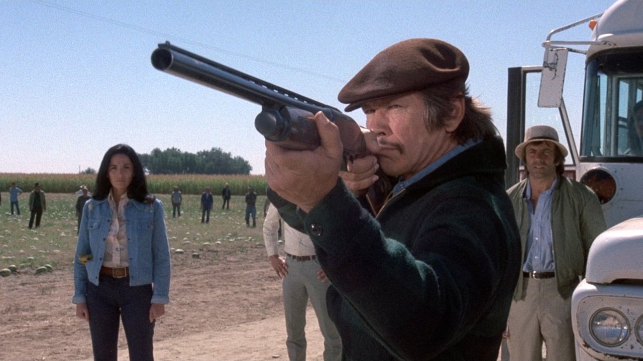 Das Gesetz bin ich (1974) abspielen