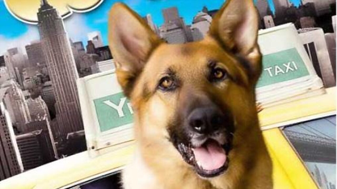 Tierisch Cool - Ein Hund in New York (2010) abspielen
