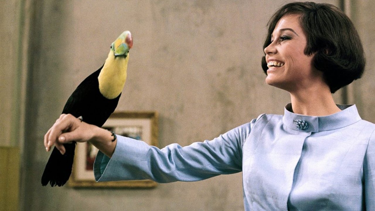 Hochzeitsnacht vor Zeugen (1968) abspielen