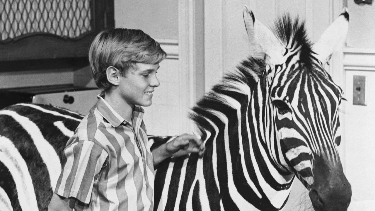 Ein Zebra in der Küche (1965) abspielen