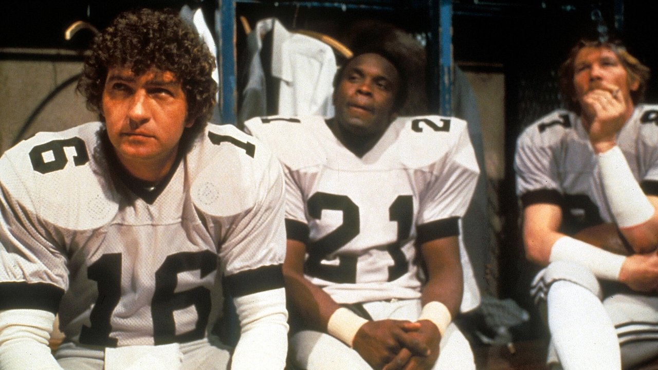 Die Bullen von Dallas (1979) abspielen