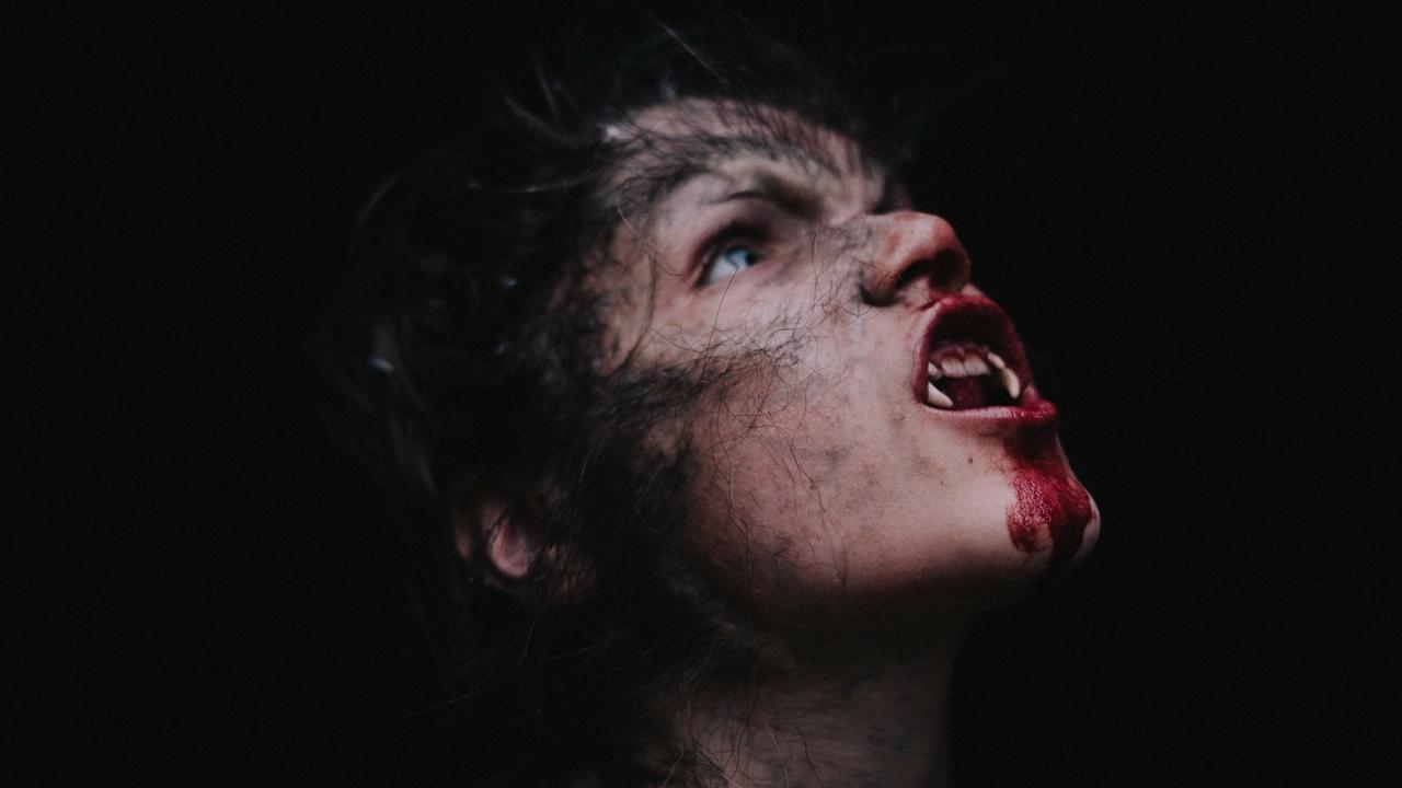 Wolfkin (2023) abspielen