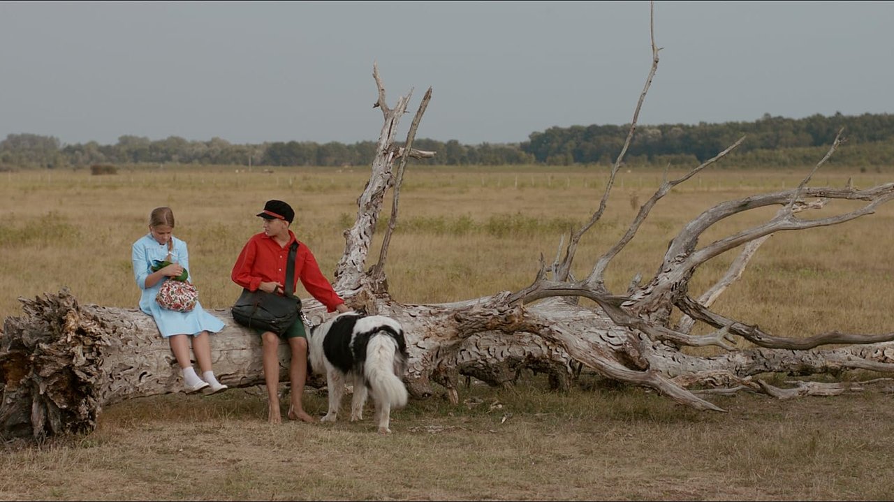 Die Abenteuer des kleinen Schuhmachers Lapitch (2013) abspielen