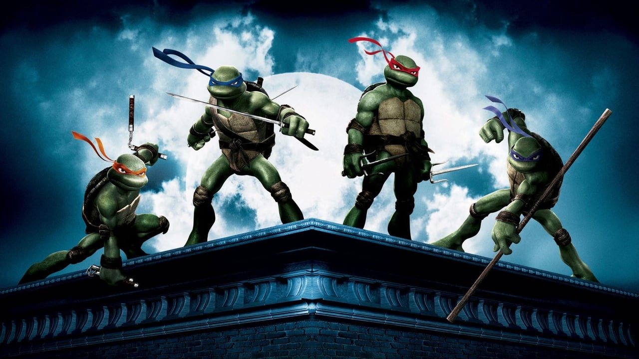 Teenage Mutant Ninja Turtles (2007) abspielen