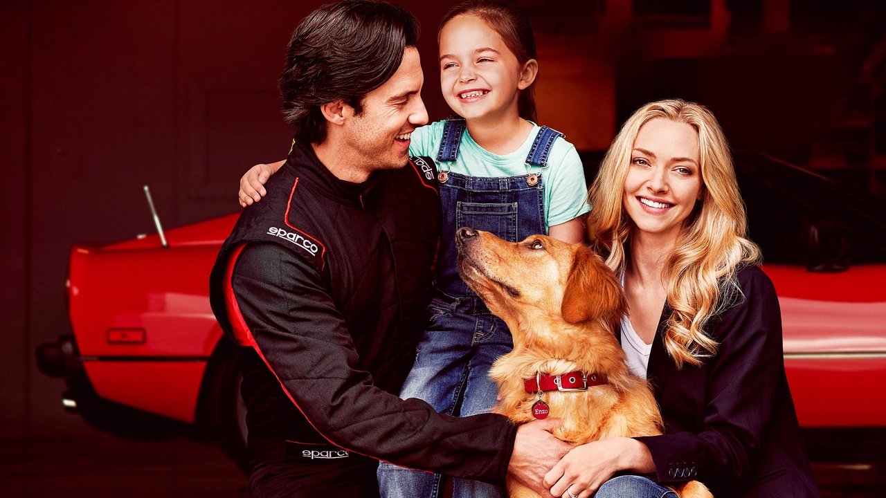 Enzo und die wundersame Welt der Menschen (2019) abspielen