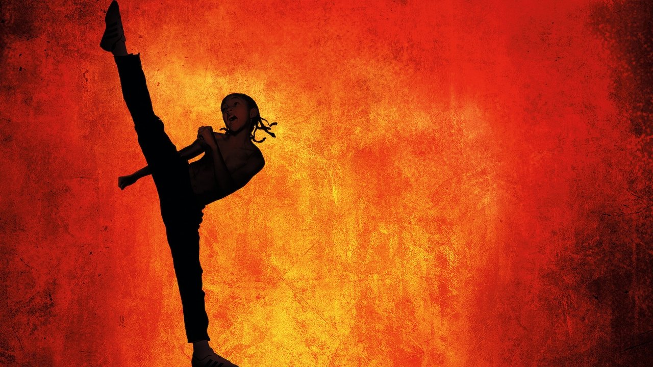 Karate Kid (2010) abspielen