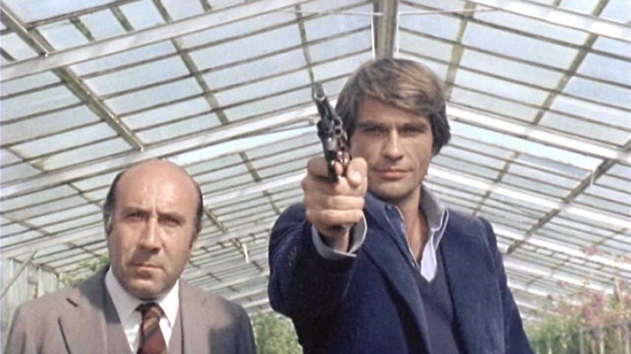 A Man Called Magnum (1977) abspielen