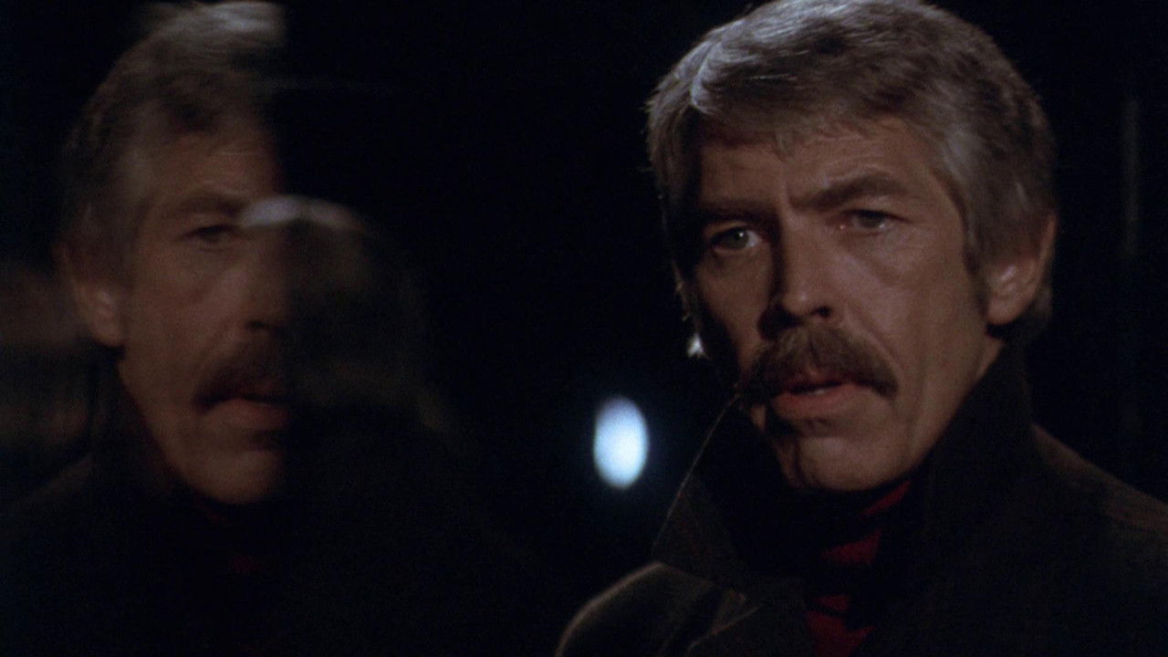Der schwarze Panther (1974) abspielen