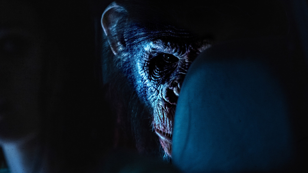 Primate (2026) abspielen