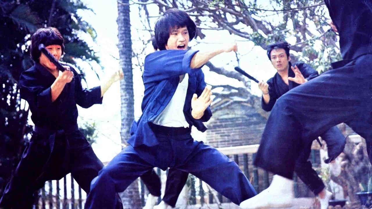 Bruce Lee - Seine tödliche Rache (1978) abspielen