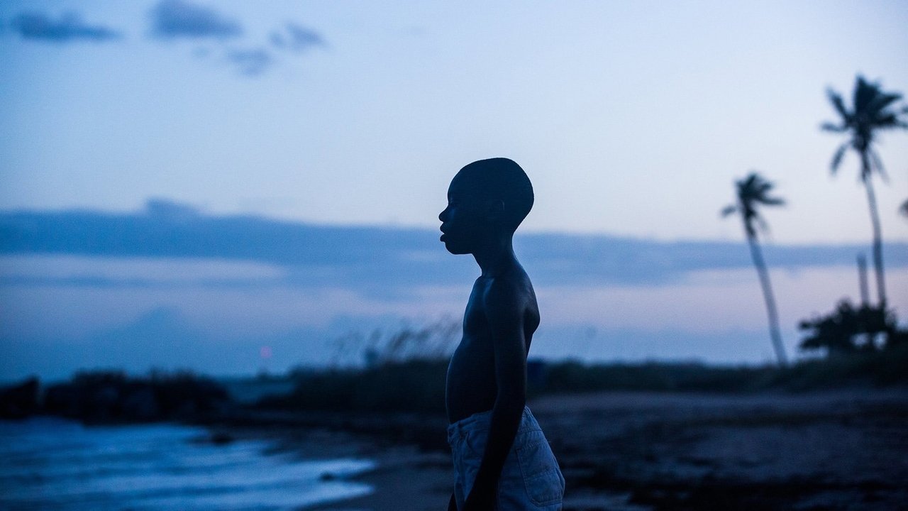 Moonlight (2016) abspielen